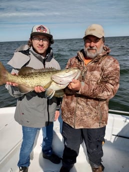 Gag Grouper Fishing in Crystal River, Florida