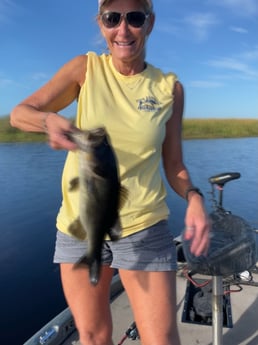 Largemouth Bass Fishing in Lake Okeechobee, Florida
