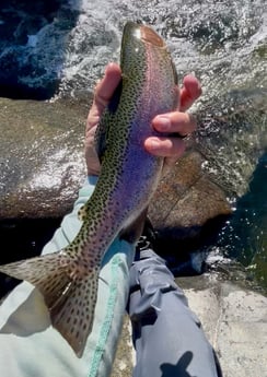Fishing in Hume, California