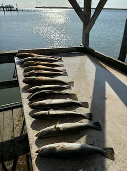 Fishing in Port Aransas, Texas