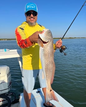 Tripletail fishing in St. Augustine, Florida