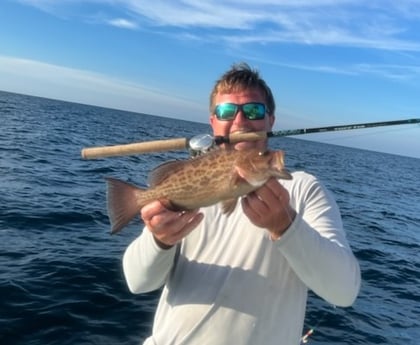 Gag Grouper Fishing in Matagorda, Texas