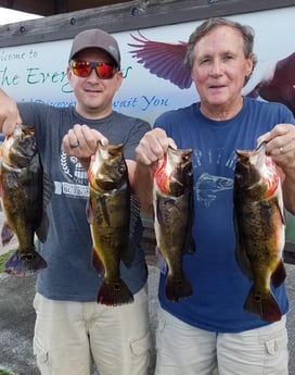 Peacock Bass fishing in Fort Lauderdale, Florida