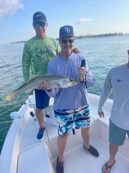 Fishing in Sarasota, Florida