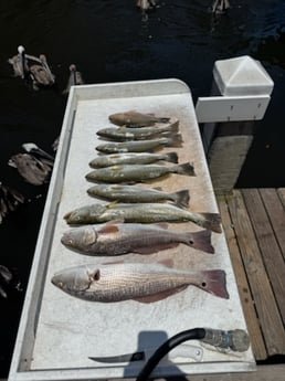 Fishing in Bradenton, Florida