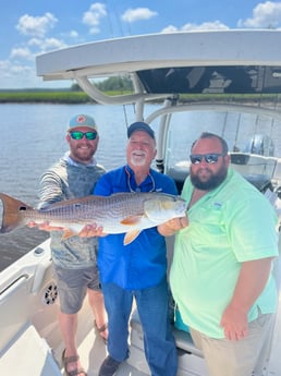 Redfish Fishing in Mount Pleasant, South Carolina