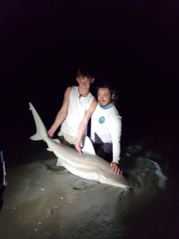 Blacktip Shark Fishing in Melbourne Beach, Florida