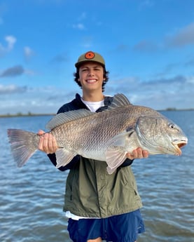 Black Drum fishing in Saint Bernard, Louisiana