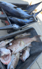 Fishing in Buras, Louisiana