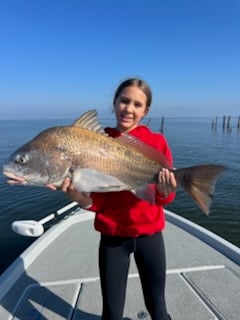 Black Drum Fishing in Boothville-Venice, Louisiana