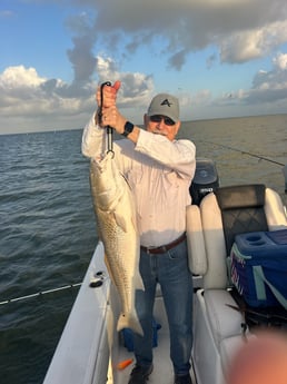 Fishing in League City, Texas