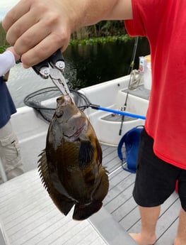 Fishing in Weston, Florida