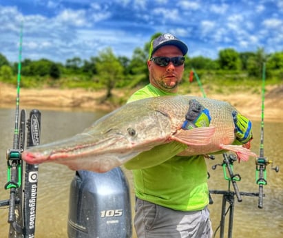 Alligator Gar Fishing in Dallas, Texas