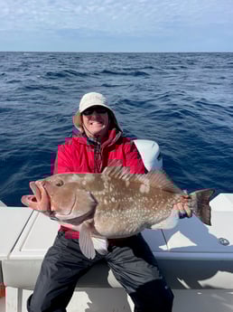 Fishing in Sarasota, Florida