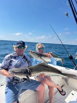 Fishing in Sarasota, Florida