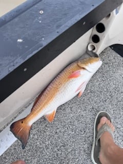 Fishing in Galveston, Texas