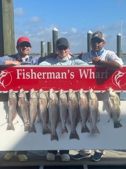 Black Drum, Redfish Fishing in Port Aransas, Texas