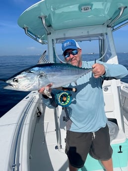 False Albacore Fishing in Jupiter, Florida