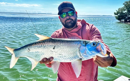 Tarpon Fishing in Tavernier, Florida
