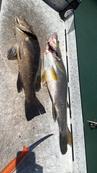 Fishing in Everglades City, Florida