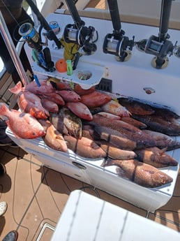 Fishing in Pensacola, Florida