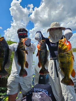 Fishing in Deerfield Beach, Florida
