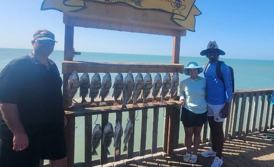 Black Drum Fishing in Port Isabel, Texas