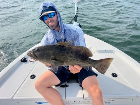 Gag Grouper Fishing in Tampa, Florida