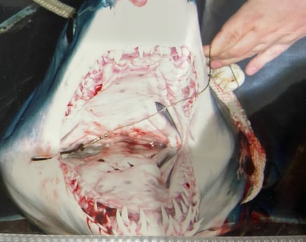 Fishing in Surfside Beach, Texas