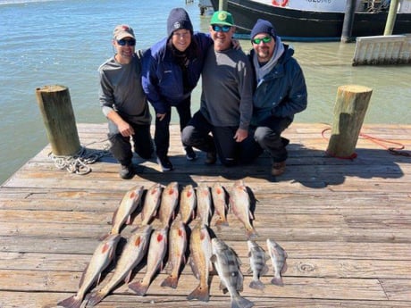 Black Drum, Redfish Fishing in Port O&#039;Connor, Texas
