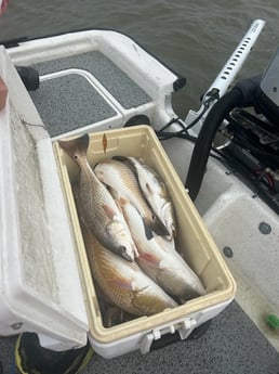 Fishing in San Leon, Texas