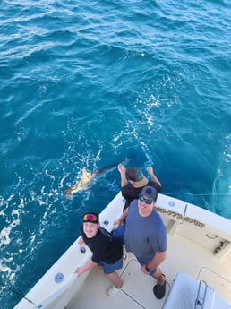 Fishing in Miami Beach, Florida