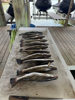 Fishing in Galveston, Texas