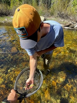 Fishing in Hume, California