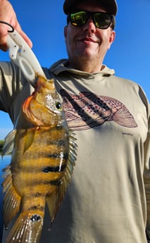 Fishing in Deerfield Beach, Florida