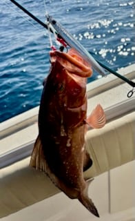 Fishing in Shalimar, Florida