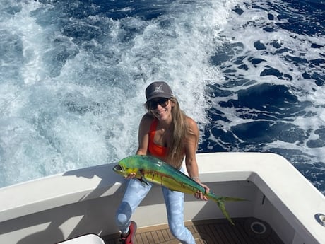 Mahi Mahi / Dorado Fishing in San Juan, Puerto Rico