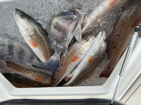 Fishing in Buras, Louisiana