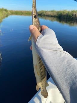 Fishing in Pembroke Pines, Florida