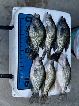 Fishing in Port St. Lucie, Florida