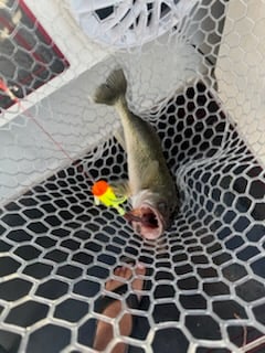 Fishing in Lakeside Marblehead, Ohio