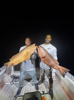 Fishing in Miami, Florida
