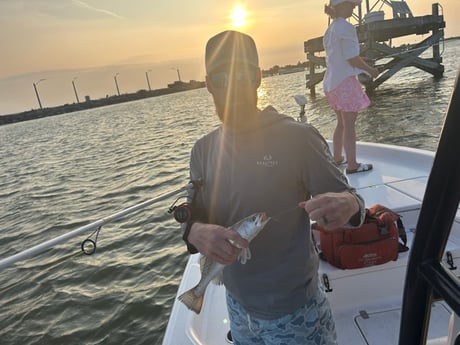 Speckled Trout Fishing in League City, Texas