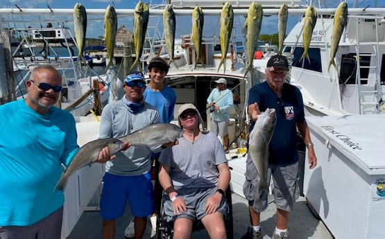 Mahi Mahi / Dorado, Warsaw Grouper fishing in Islamorada, Florida