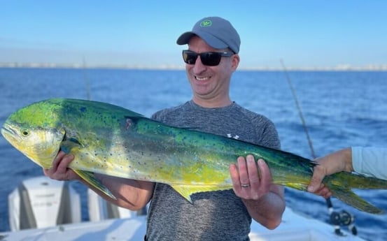 Mahi Mahi / Dorado fishing in Riviera Beach, Florida