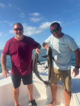Fishing in Largo, Florida