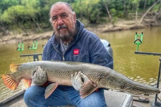 Alligator Gar Fishing in Dallas, Texas