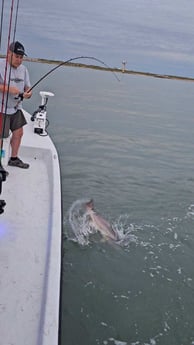 Redfish Fishing in Port O'Connor, Texas