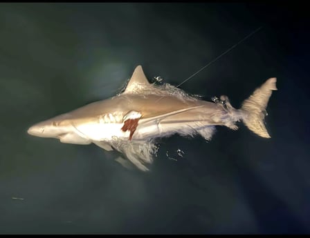 Fishing in Portsmouth, Rhode Island