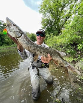 Fishing in Detroit, Michigan